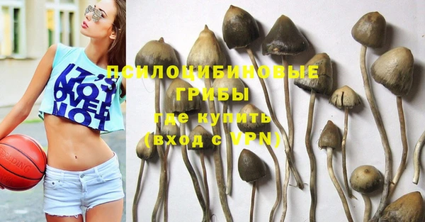 синтетический гашиш Горнозаводск