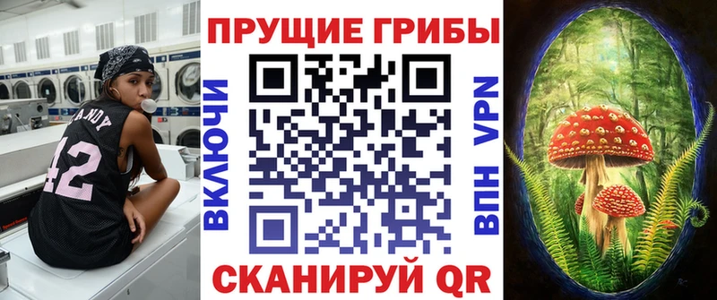 блэк спрут как войти  Михайлов  Галлюциногенные грибы Magic Shrooms 